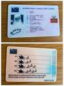 international sleigh flying licence