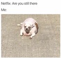 netflix are you still there