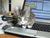   cat on laptop