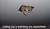 Смешна снимка ceilingcat