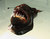 Смешна снимка humpbackangler