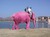 Смешна снимка rozov slon
