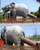 Смешна снимка slonjaa