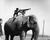 Смешна снимка slonovete prez pyrvata svetovna