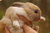 Смешна снимка zaikovec baikovec