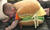 Смешна снимка burger baby