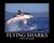 Смешна снимка flying sharks