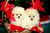 Смешна снимка Christmas Pomeranians