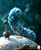 Смешна снимка alice in wonderland 02 caterpillar