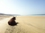 Смешна снимка playa de zahara de los atunes