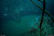 Смешна снимка underwater river cenote angelita mexico