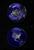 Смешна снимка earth at night