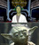   not amused yoda is